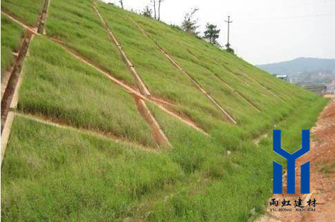 三維植被網(wǎng)http://www.0915dns.com/